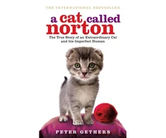 KNYGA Bookshop Cat Called Norton