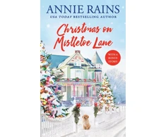 KNYGA Bookshop Christmas on Mistletoe Lane