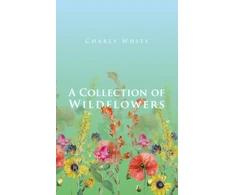 KNYGA Bookshop Collection of Wildflowers