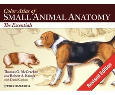 KNYGA Bookshop Color Atlas of Small Animal Anatomy