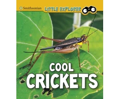 KNYGA Bookshop Cool Crickets