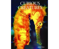 KNYGA Bookshop Curious Creatures