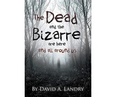 KNYGA Bookshop Dead and the Bizarre are here and all around us