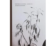 KNYGA Bookshop Depreciating Assets