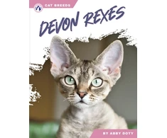 KNYGA Bookshop Devon Rexes