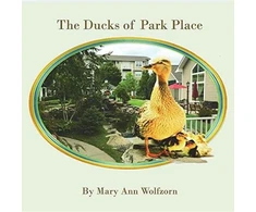 KNYGA Bookshop Ducks of Park Place