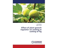 KNYGA Bookshop Effect of plant growrh regulator on rooting in cutting of fig