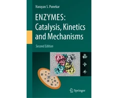 KNYGA Bookshop ENZYMES: Catalysis, Kinetics and Mechanisms