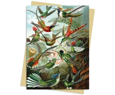 KNYGA Bookshop Ernst Haeckel: Hummingbirds Greeting Card Pack