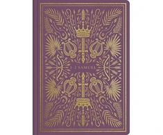 KNYGA Bookshop ESV Illuminated Scripture Journal
