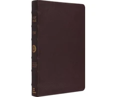 KNYGA Bookshop ESV Large Print Thinline Reference Bible