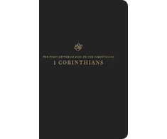 KNYGA Bookshop ESV Scripture Journal