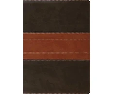 KNYGA Bookshop ESV Study Bible, Large Print
