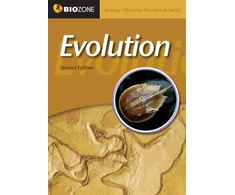 KNYGA Bookshop Evolution Modular Workbook