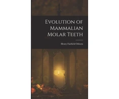 KNYGA Bookshop Evolution of Mammalian Molar Teeth