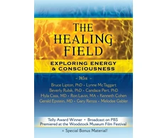 KNYGA Bookshop Field DVD