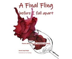 KNYGA Bookshop final fling before I fall apart