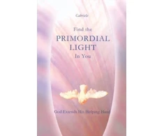 KNYGA Bookshop Find the Primordial Light in You