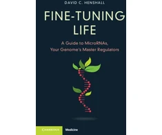KNYGA Bookshop Fine-Tuning Life