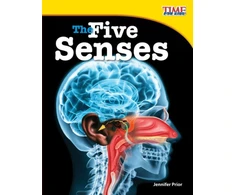KNYGA Bookshop Five Senses