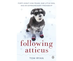 KNYGA Bookshop Following Atticus