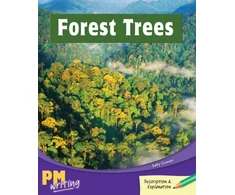 KNYGA Bookshop Forest Trees