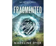 KNYGA Bookshop Fragmented