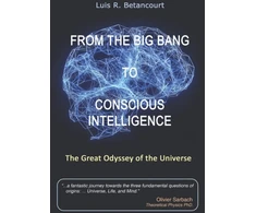 KNYGA Bookshop From the Big Bang to Conscious Intelligence