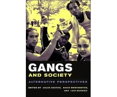 KNYGA Bookshop Gangs and Society