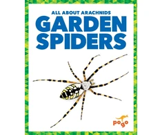 KNYGA Becca Becker Garden Spiders