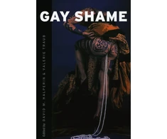 KNYGA Bookshop Gay Shame