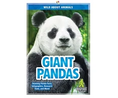 KNYGA Bookshop Giant Pandas