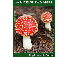 KNYGA Bookshop Glass of Two Milks