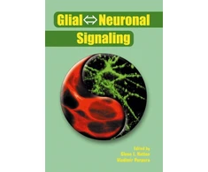 KNYGA Bookshop Glial ? Neuronal Signaling