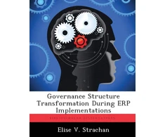 KNYGA Bookshop Governance Structure Transformation During ERP Implementations