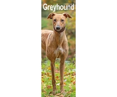 KNYGA Bookshop Greyhound Slim Calendar 2026 Dog Breed Slimline Calendar - 12 Month