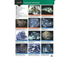KNYGA Bookshop Guide to Common Minerals