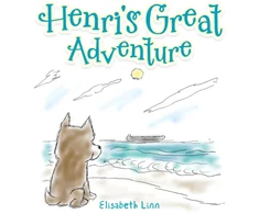 KNYGA Bookshop Henri's Great Adventure