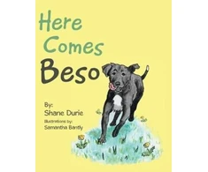 KNYGA Bookshop Here Comes Beso