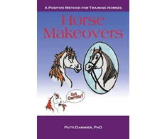 KNYGA Bookshop Horse Makeovers