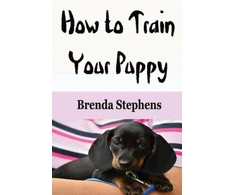 KNYGA Bookshop How to Train Your Puppy
