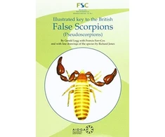 KNYGA Bookshop Illustrated Key to the British False Scorpions