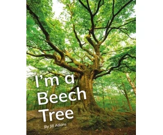 KNYGA Bookshop I'm a Beech Tree