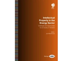 KNYGA Bookshop Intellectual Property in the Energy Sector