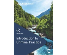 KNYGA Bookshop Introduction to Criminal Practice