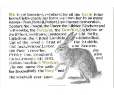 KNYGA Bookshop Jackie Morris Poster: Names of the Hare, The