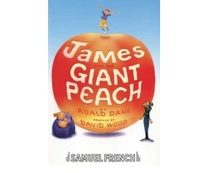 KNYGA Bookshop James and the Giant Peach