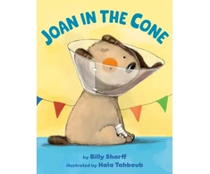 KNYGA Bookshop Joan in the Cone