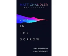 KNYGA Bookshop Joy in the Sorrow