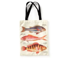 KNYGA Bookshop Judgy Fish Canvas Tote